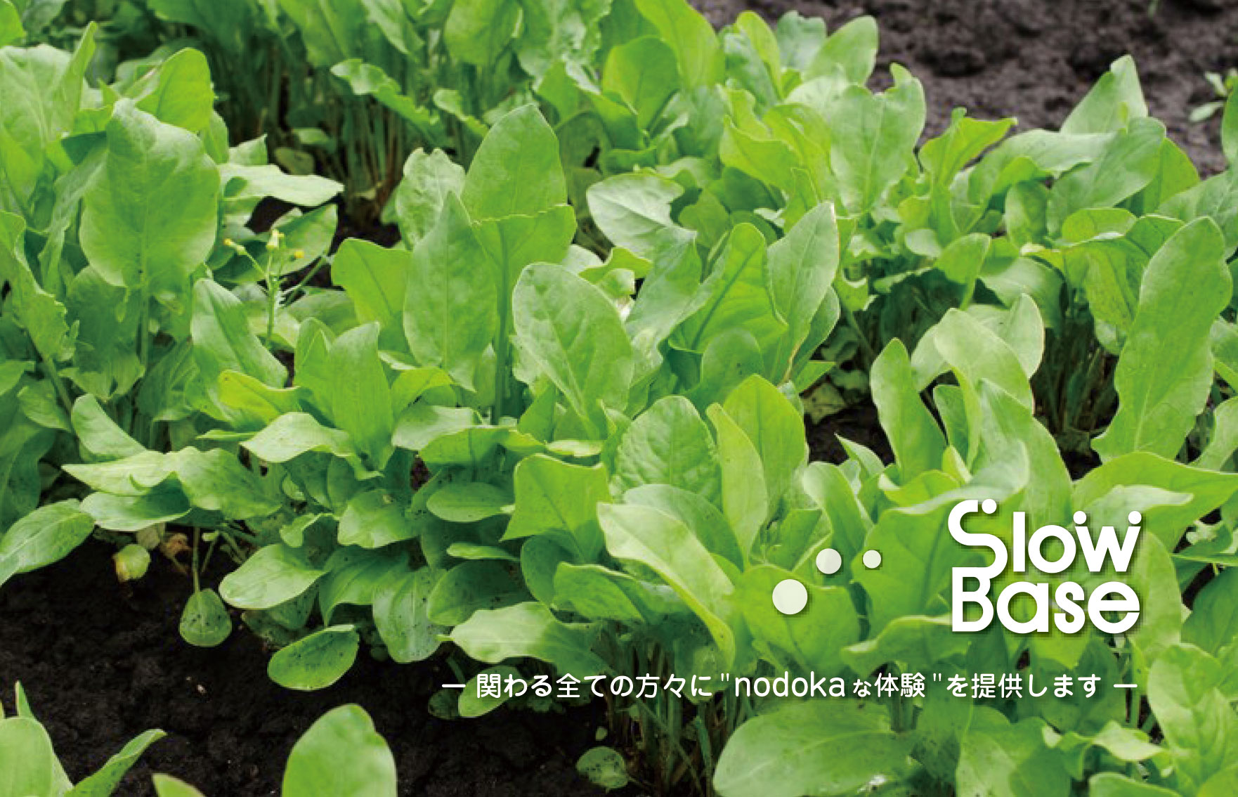 関わるすべての方々に「nodokaな体験」を提供します