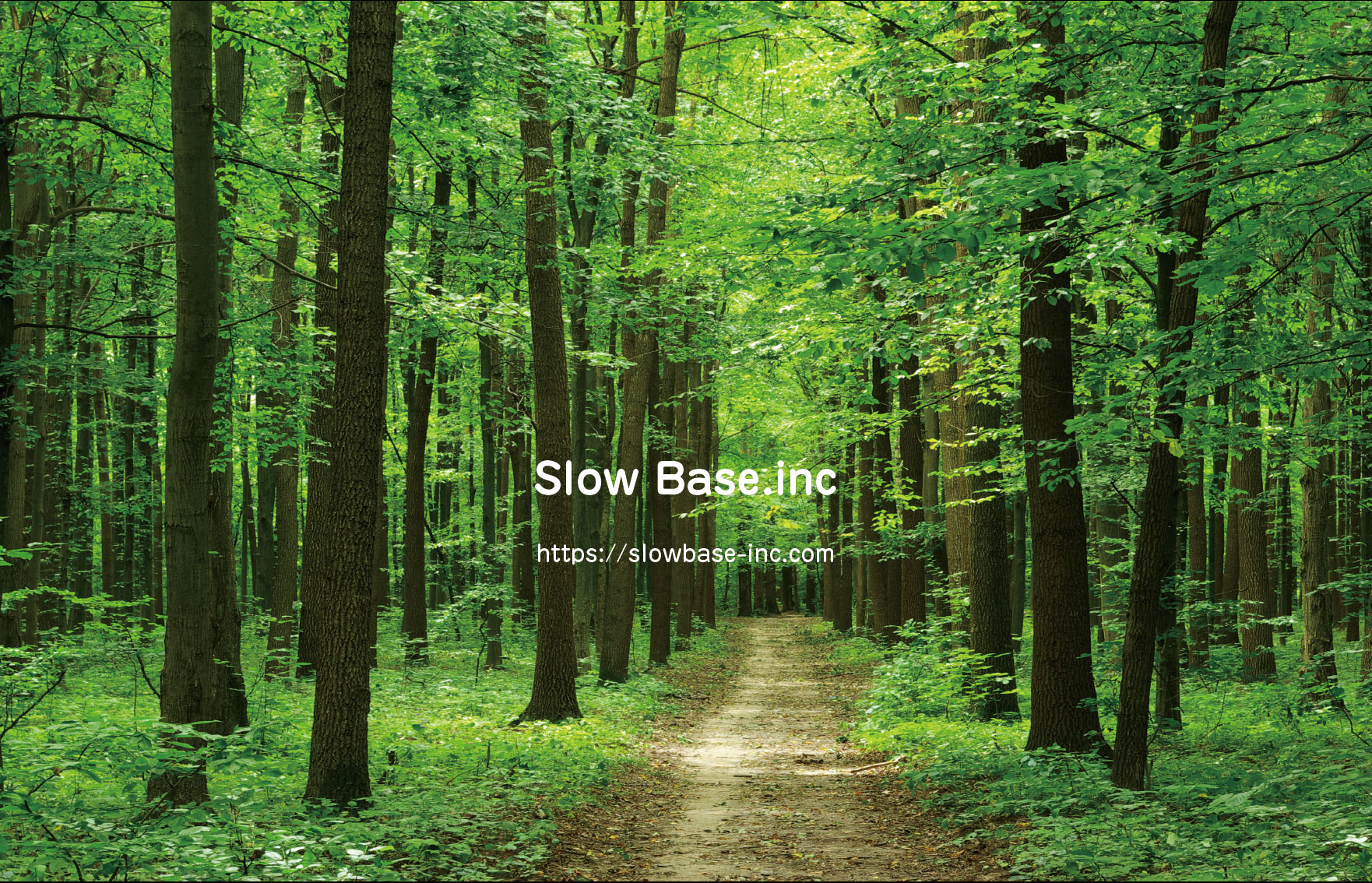 株式会社 slow base